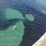 Aterradora mancha en el mar de las costas de California