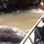 Un grupo de pescadores filmaron una enorme anaconda en un rio de Brasil