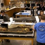 sarcófago de una momia egipcia
