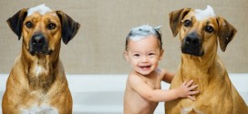 Tener un perro como mascota trae un beneficio para los niños que muy seguramente desconoces