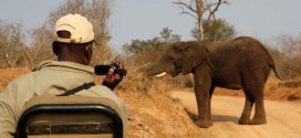 Video registró aterrador encuentro entre camarógrafos y un elefante furioso