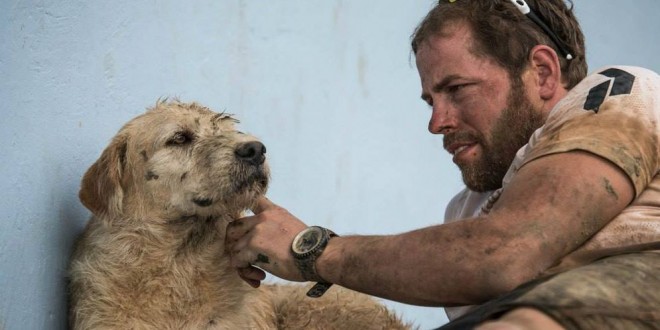 Conoce al perro abandonado que luchó sin descanso por quedarse con un equipo de atletas