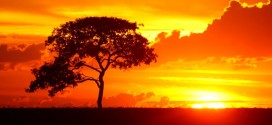 En 45 años, olas de calor sin precedentes afectarán a millones de personas ¿Cuáles serán las zonas más afectadas?