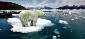 ¿Qué es, en palabras concretas, el cambio climático y cuáles son los hechos que lo prueban?