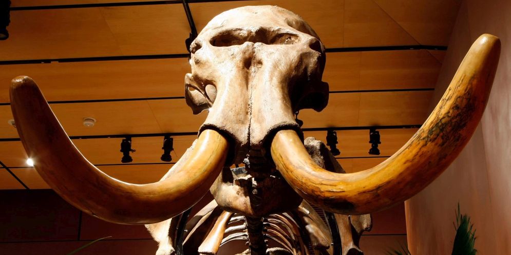 Gracias a un avance científico del 2015, revivir a un animal extinto hace miles de años será una realidad